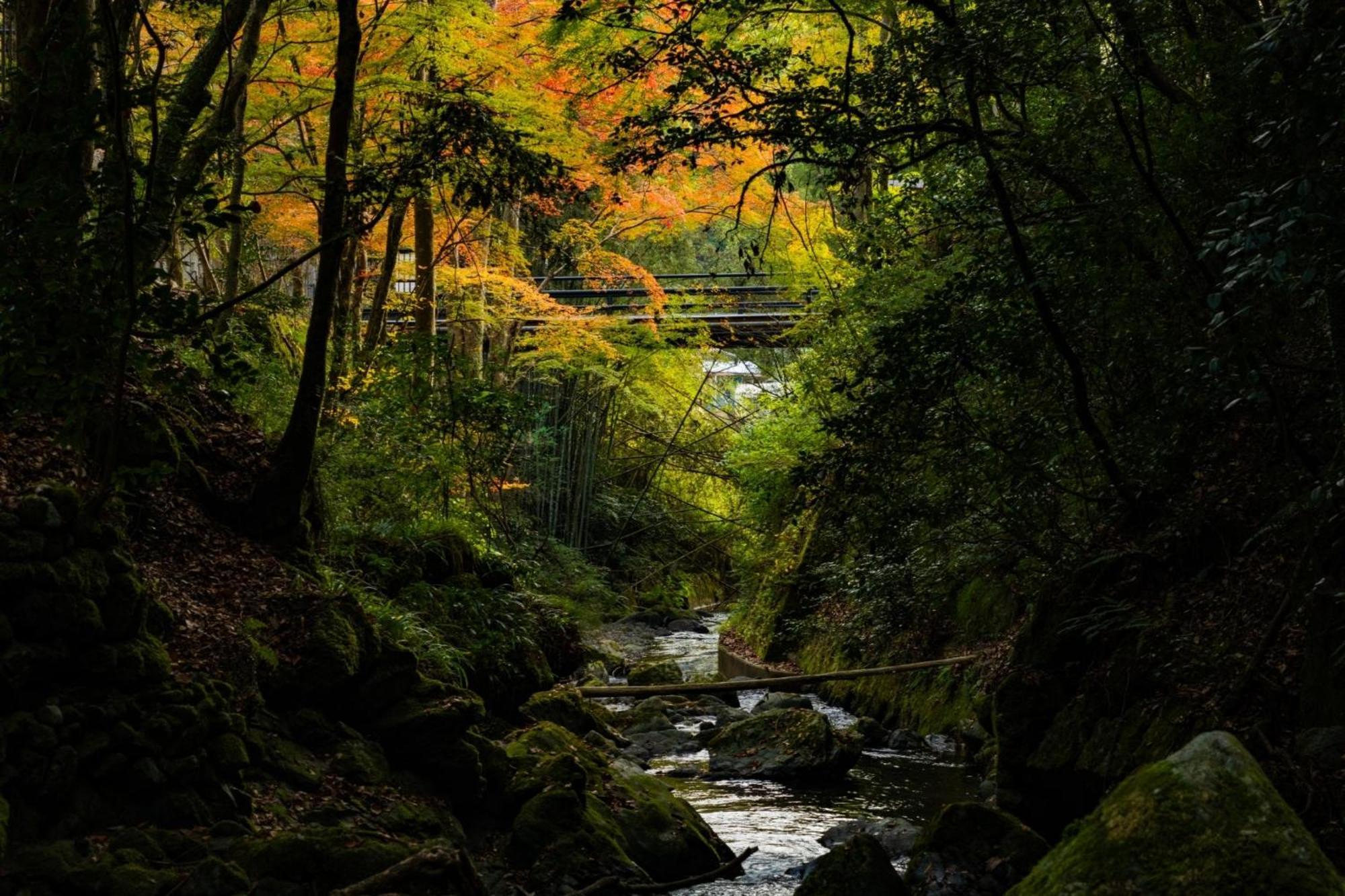くらま温泉 — Fotos 3